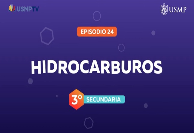 Capítulo N° 24 - Hidrocarburos